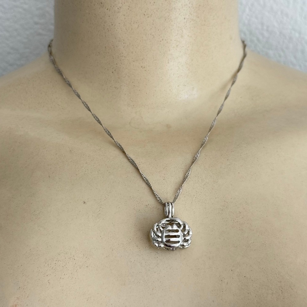 Locket Pendant Necklace Silver Cage Locket 18KGP Singapore Fairycore Whimsigoth